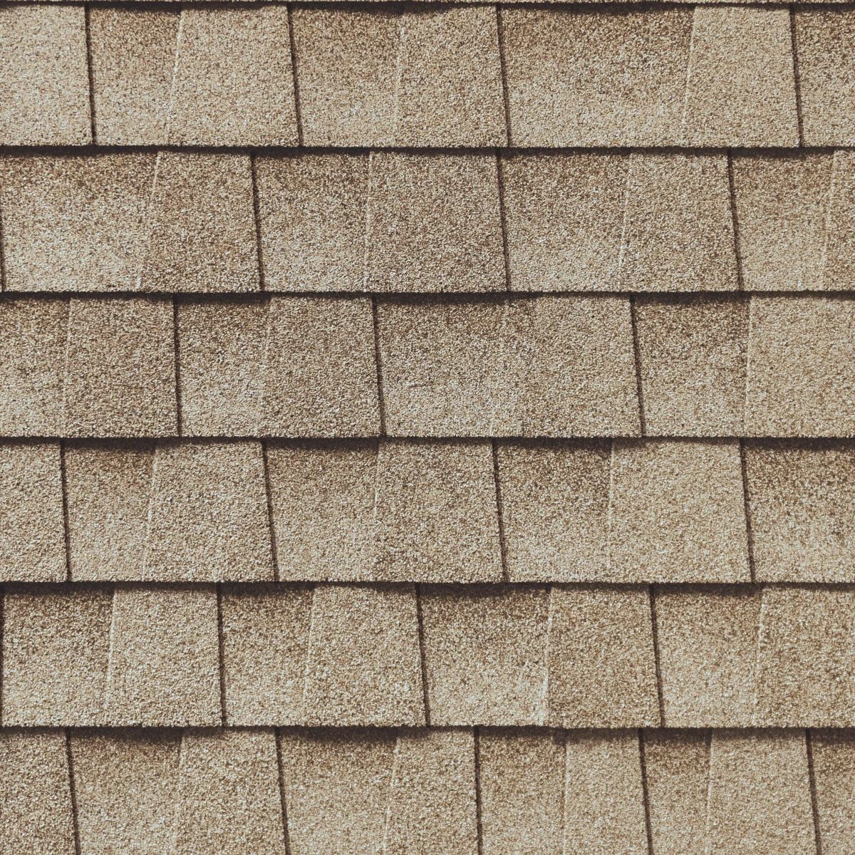 Extreme Roofing Images