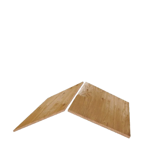 Extreme Roofing Images