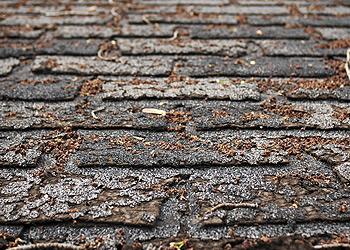 Extreme Roofing Images